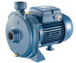 Máy bơm dân dụng Pentax CM 75-220V