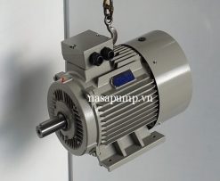 Động cơ điện Guanglu Y3-200L-8