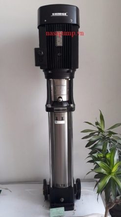 Máy bơm trục đứng Shimge BLT2-5