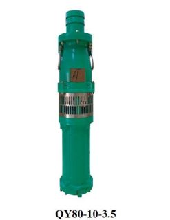 Bơm chìm trục đứng Swirls 100QY65-10-3