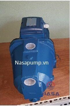 Bơm dân dụng PENTAX CAM 100