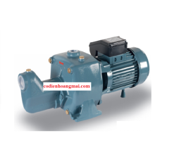 Bơm dân dụng Elanta NPM 6 B