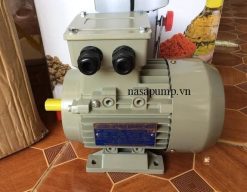Động cơ điện Guanglu Y3-100L-2