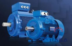 Động cơ điện 3 pha Guanglu Y3-100L-2