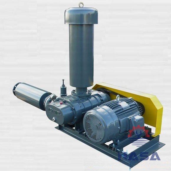 Máy thổi khí Heywell RSS-300