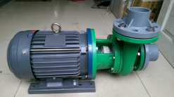 Bơm bánh răng giá rẻ hiệu Nation pump 