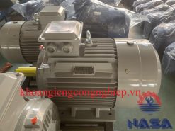 Động cơ điện Dasu YE2-711-2