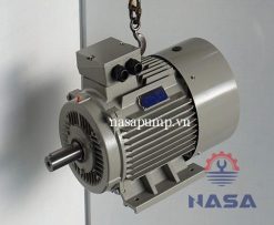 Động cơ điện Guanglu Y3-200L-8