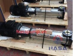 Bơm trục đứng EBARA EVMS 10-10N5-Q1BEG-E/4.0