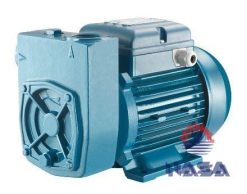 Máy bơm ly tâm Pentax MD 100