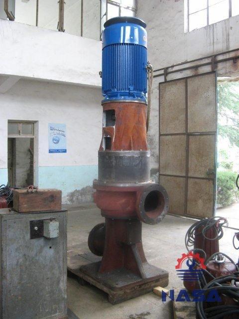 WL-Vertical-Sewage-Pumps-3.jpg