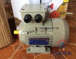 Động cơ điện Guanglu Y3-801-4
